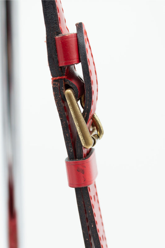 Louis Vuitton Noé Red Epi Leather Bucket Bag