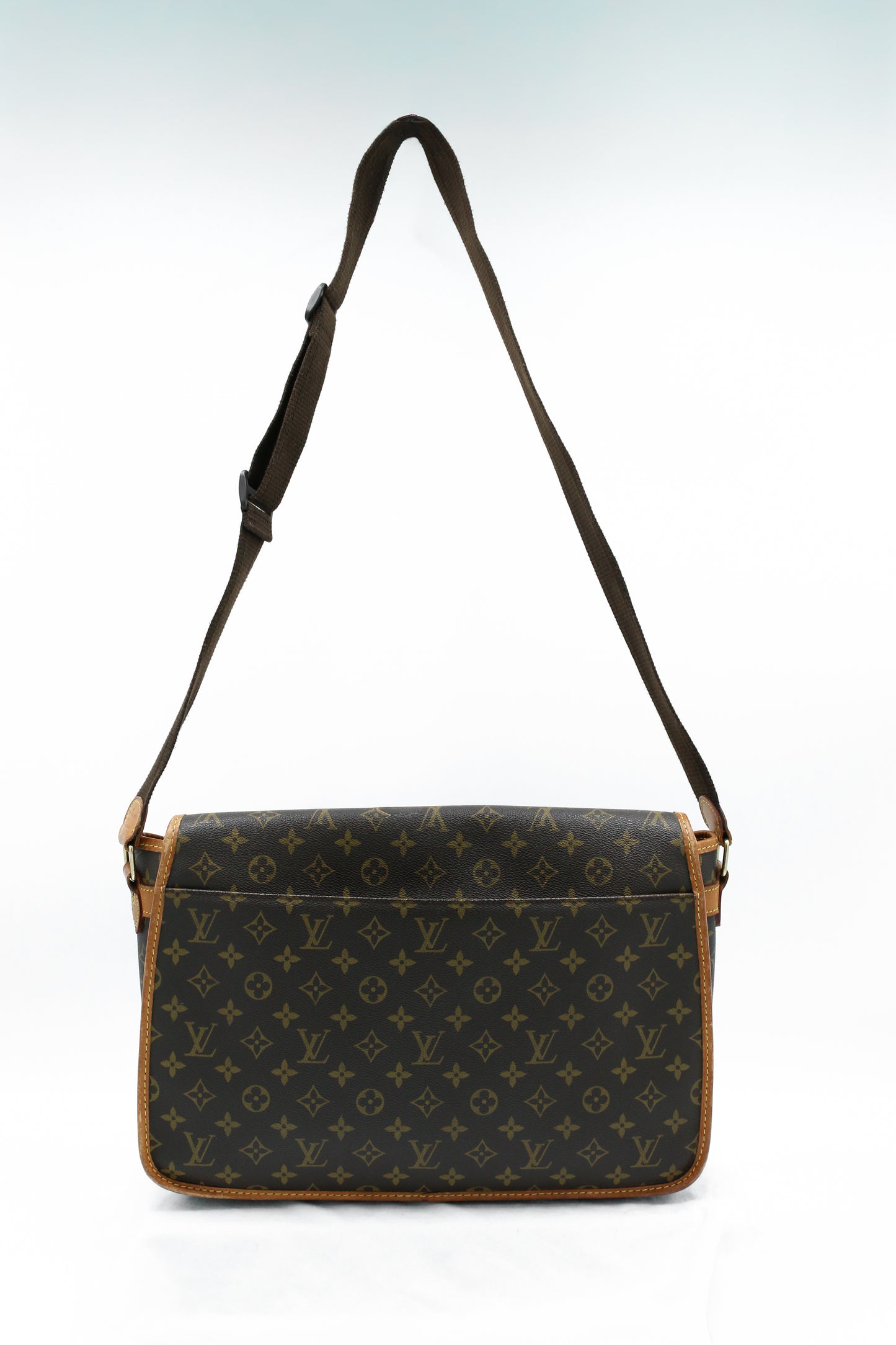 Louis Vuitton Gibecière Monogram