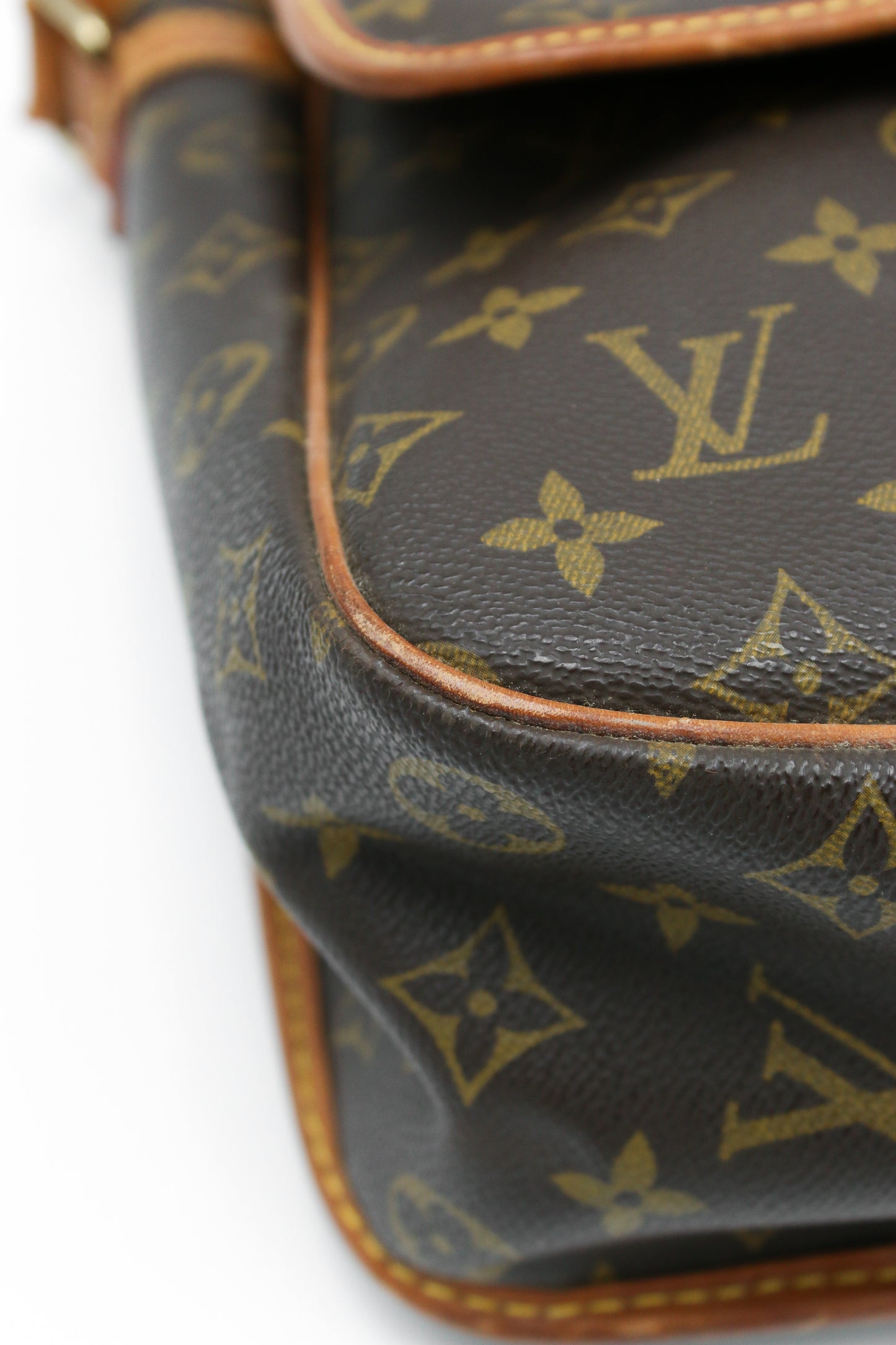Louis Vuitton Gibecière Monogram