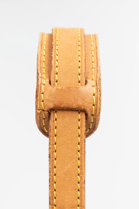 Louis Vuitton Saint Cloud Monogram Crossbody Bag