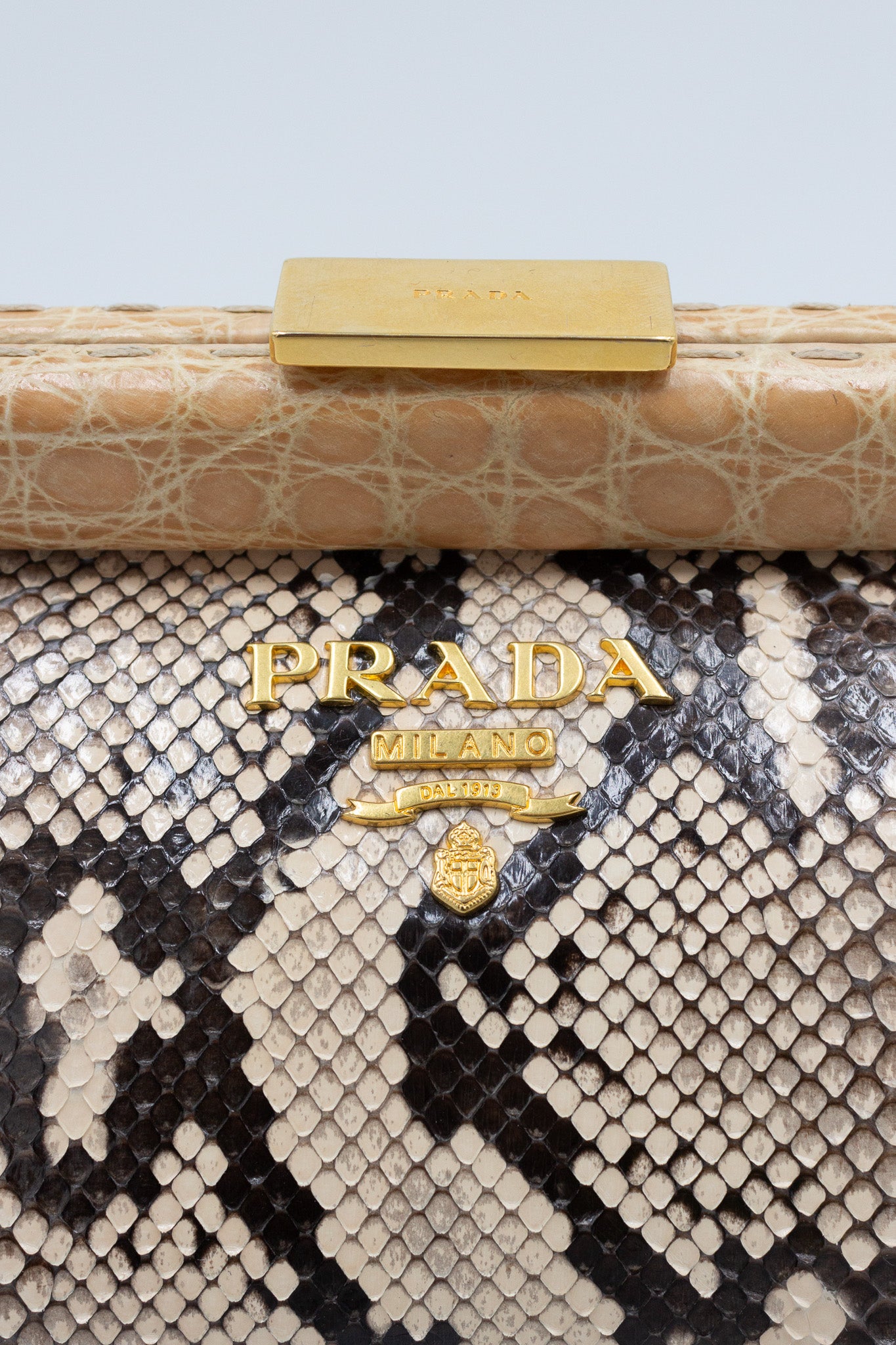 Prada Python Leather Clutch